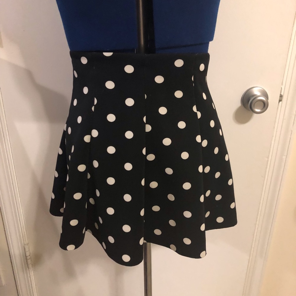 Zara Skirt